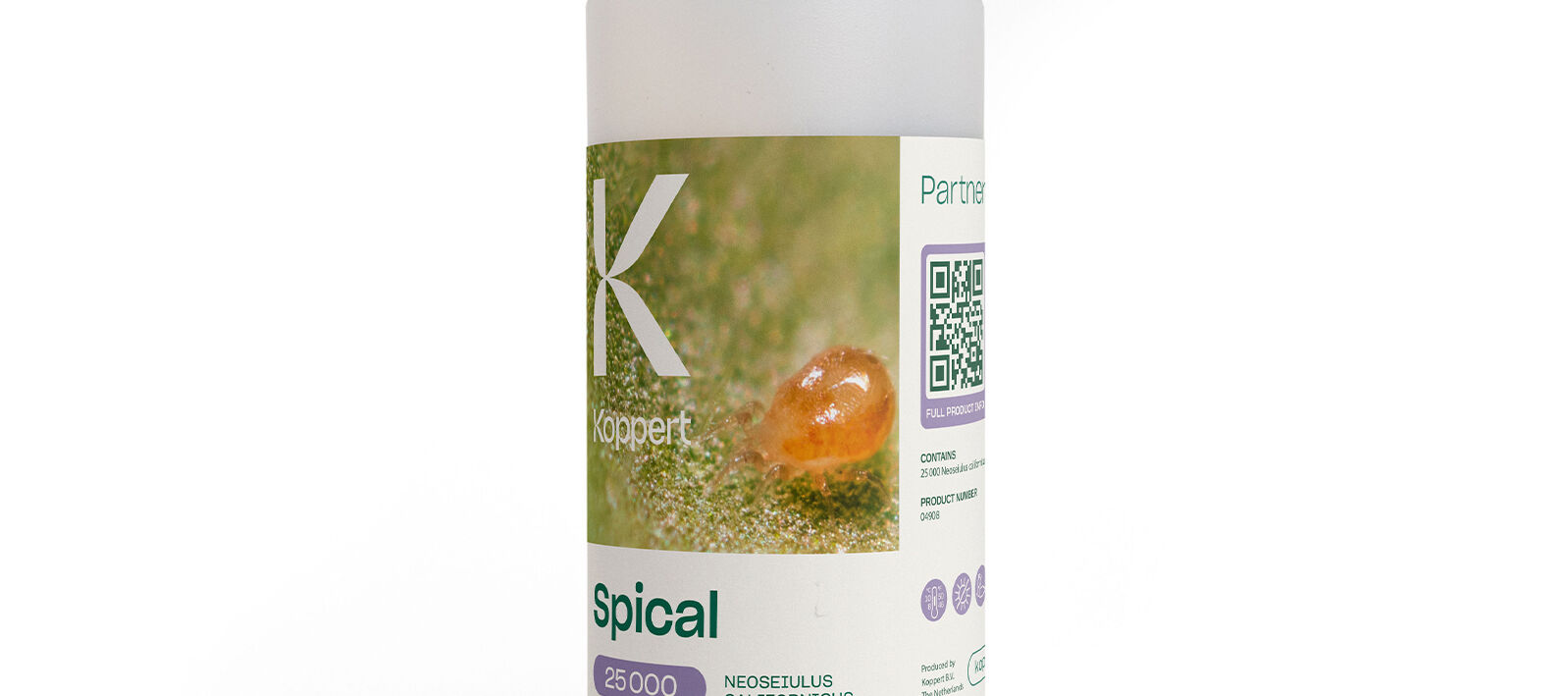 Spider Mite Control: The Essential Guide | Koppert Global