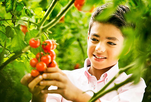 IBMA: Back Biocontrol, not chemical pesticides