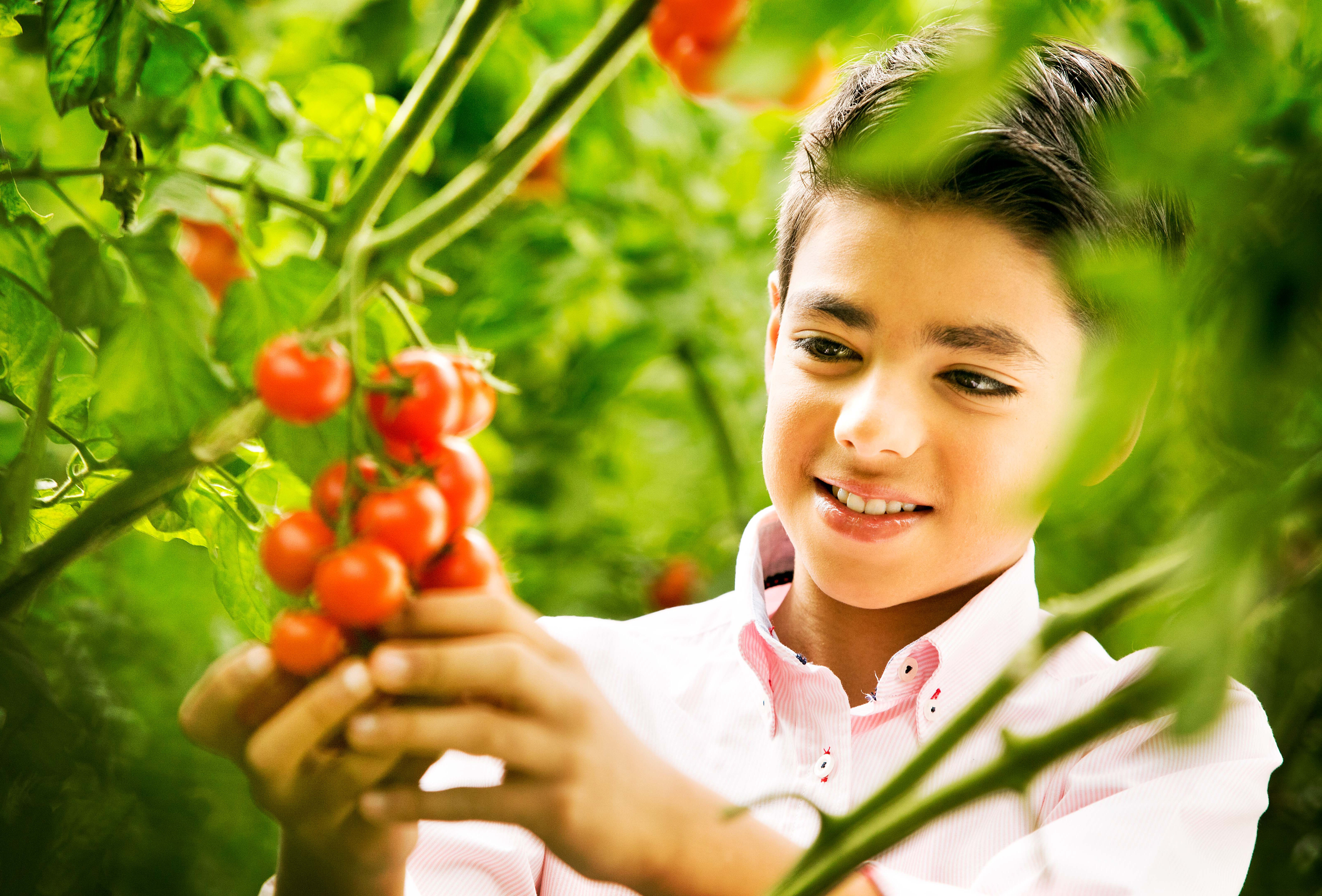 IBMA: Back Biocontrol, not chemical pesticides