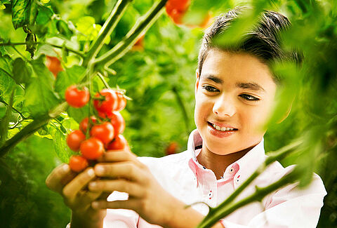 IBMA: Back Biocontrol, not chemical pesticides