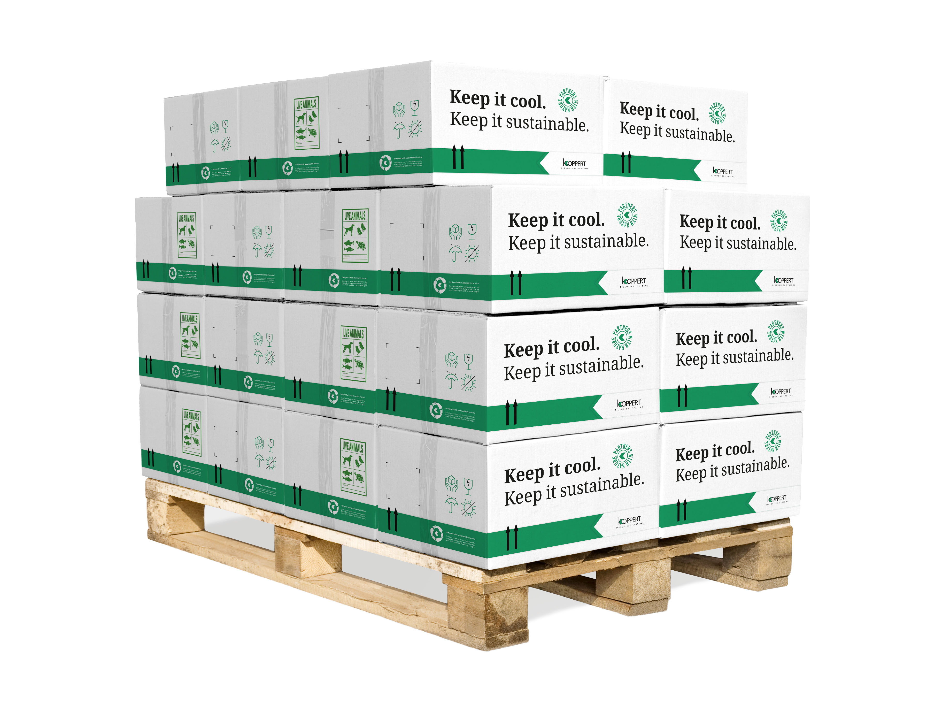 Cardboard,Boxes,On,Wooden,Palette,Isolated,On,White,+,Clipping