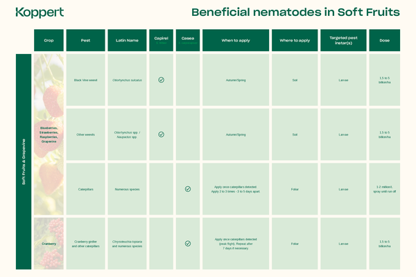 Target pests of beneficial nematodes in soft fruits