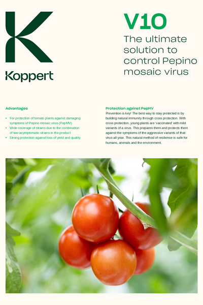 V10 Leaflet
